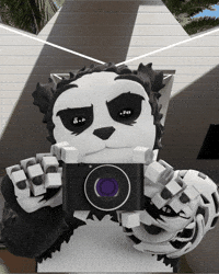 Photography Taking GIF by Endangered Labs