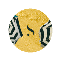 Summer Icecream Sticker by Sovolos