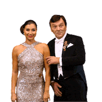 Ceskatelevize Televize Sticker