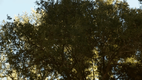 damon wayans riggs GIF by Lethal Weapon