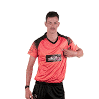 sunriserseasterncape cricket marco sec sunrisers Sticker