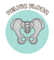 Pelvic Floor Sticker by Nancy Anderson Fit