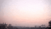 birds krakow GIF by For 91 Days