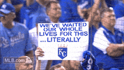 fan kc GIF by MLB