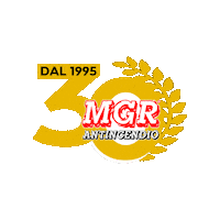 Fire Incendio Sticker by MGR Antincendio