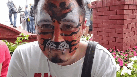 bdv68559 giphyupload GIF