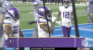 Minnesota Vikings Football GIF by NFL