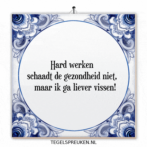 Humor Nl GIF by Tegelspreuken.nl