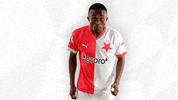 Football Sport GIF by SK Slavia Praha