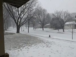 Snowflakes Fall as Winter Storm Impacts Wisconsin