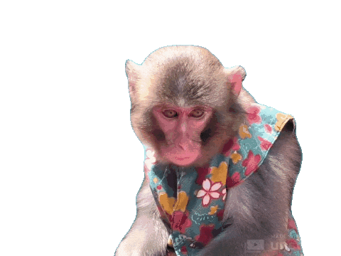 Fun Monkey Sticker