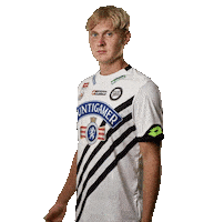 Come On Fly Sticker by SK Sturm Graz