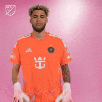 Calm Down Chill Out GIF by Major League Soccer