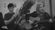 Sean Flanagan Guitar GIF by FoilArmsandHog