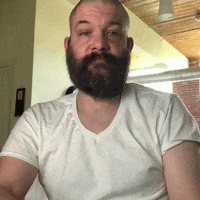 Asl Birds GIF
