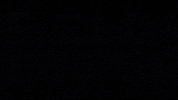 fieldandforgebrewingco ff fieldandforge fieldforge justgoodbeer GIF