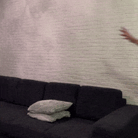 Borussia Dortmund Soccer GIF