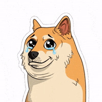 Proud Happy Tears GIF by Doge Pound