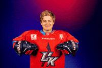 Skoda GIF by UK KINGS PRAGUE