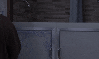 Big Brother Hello GIF