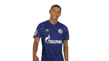 Fc Schalke 04 Yes Sticker by Bundesliga