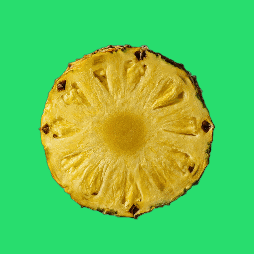 Summer Comida GIF