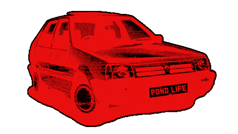 Car Vinyl Sticker by Pond Life Party