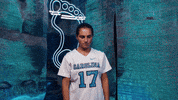 Look Up North Carolina GIF by UNC Tar Heels