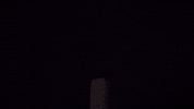 Usc Football GIF