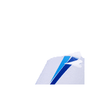 optik-koellner plane wing Sticker