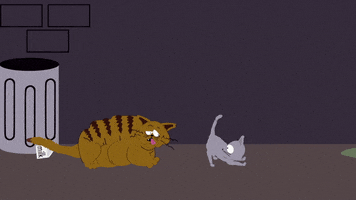 kitty smash GIF by South Park 