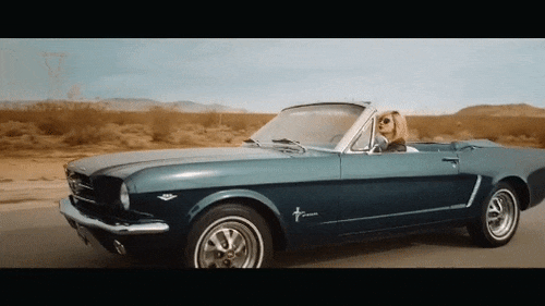 driving road trip GIF by Epitaph Records