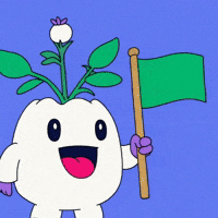 Go Green Flag GIF by Magic Eden