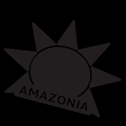 amazoniagroup giphygifmaker acai amazonia acaibowl GIF