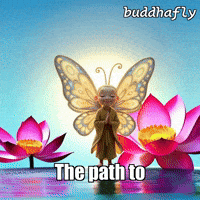 Water Peace GIF by BuddhaFlyJourney