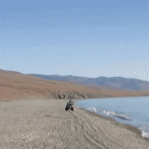 travel reizen GIF by BNNVARA