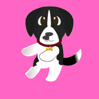 SOS_ENCONTRANDO_MASCOTAS perro lola sos perritos GIF