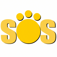 SOS_ENCONTRANDO_MASCOTAS logo perro lola sos GIF