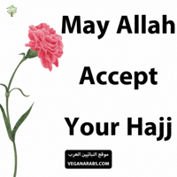 Eid Allah GIF by VeganArabs