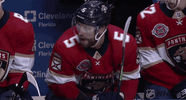 happy ice hockey GIF by NHL
