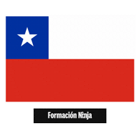 Flag Chile Sticker by Formación Ninja