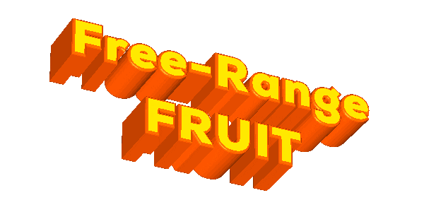Vegan Orange Sticker by Aquafaba Test Kitchen