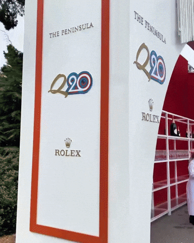 Cute Puppy Kroshka GIF