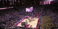 ncaa sports GIF by Maryland Terrapins