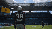 Football Nfl GIF by New England Patriots