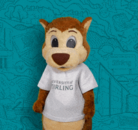 universityofstirling yes winning yas score GIF