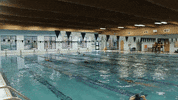 Wethebeach Virginiawesleyan GIF by VWU Marlins