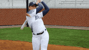 vwu_marlins marlins vwu wethebeach virginiawesleyan GIF