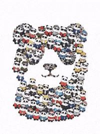 Panda GIF by Pandu Pandas
