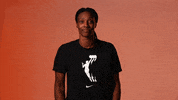 Sylvia Fowles What GIF by WNBA